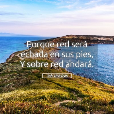 Picture 05 - Job 18:8 RVA - Porque red será echada en sus pies, Y sobre red - Bible Verse Picture