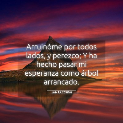 Picture 05 - Job 19:10 RVA - Arruinóme por todos lados, y perezco; Y ha hecho - Bible Verse Picture