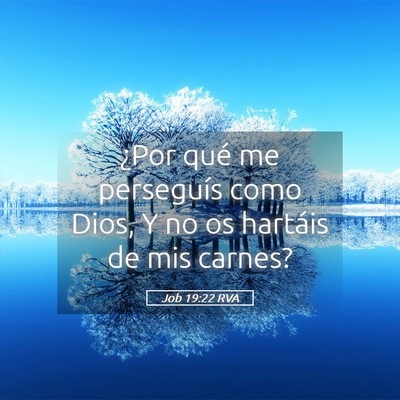 Picture 05 - Job 19:22 RVA - ¿Por qué me perseguís como Dios, Y no os - Bible Verse Picture