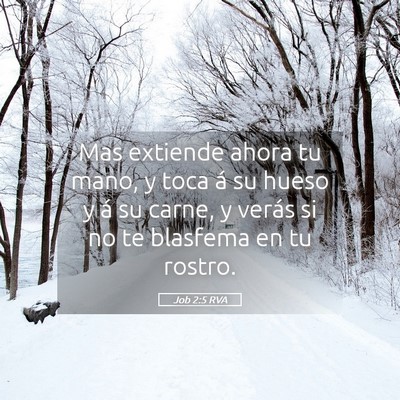Picture 05 - Job 2:5 RVA - Mas extiende ahora tu mano, y toca á su hueso y - Bible Verse Picture