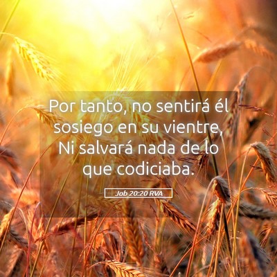 Picture 05 - Job 20:20 RVA - Por tanto, no sentirá él sosiego en su vientre, - Bible Verse Picture