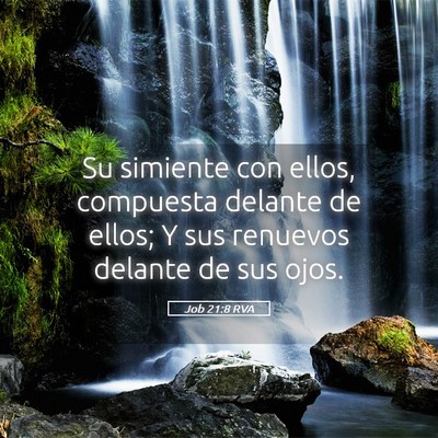 Picture 05 - Job 21:8 RVA - Su simiente con ellos, compuesta delante de - Bible Verse Picture