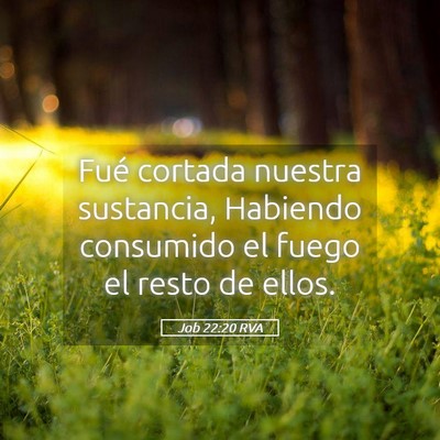 Picture 05 - Job 22:20 RVA - Fué cortada nuestra sustancia, Habiendo - Bible Verse Picture