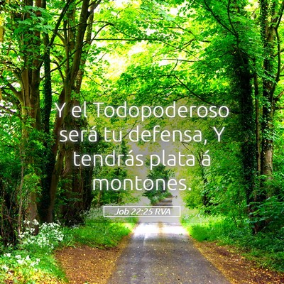 Picture 05 - Job 22:25 RVA - Y el Todopoderoso será tu defensa, Y tendrás - Bible Verse Picture