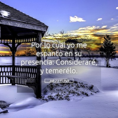 Picture 05 - Job 23:15 RVA - Por lo cual yo me espanto en su presencia: - Bible Verse Picture