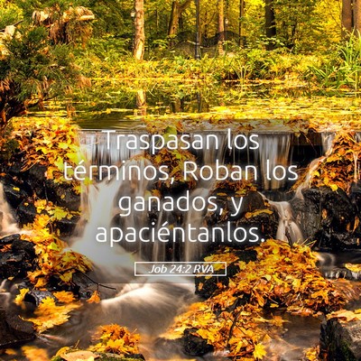Picture 05 - Job 24:2 RVA - Traspasan los términos, Roban los ganados, y - Bible Verse Picture