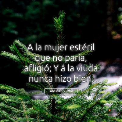 Picture 05 - Job 24:21 RVA - A la mujer estéril que no paría, afligió; Y á - Bible Verse Picture