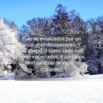 Picture 05 - Job 24:24 RVA - Fueron ensalzados por un poco, mas desaparecen, Y - Bible Verse Picture