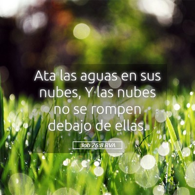 Picture 05 - Job 26:8 RVA - Ata las aguas en sus nubes, Y las nubes no se - Bible Verse Picture
