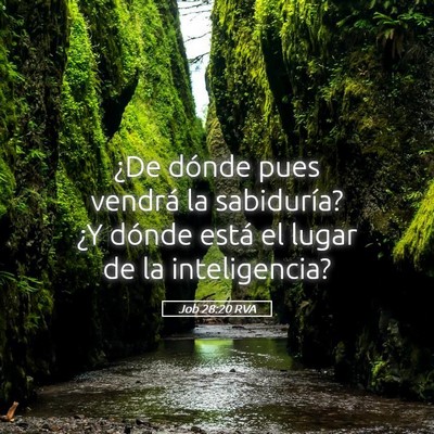 Picture 05 - Job 28:20 RVA - ¿De dónde pues vendrá la sabiduría? ¿Y - Bible Verse Picture