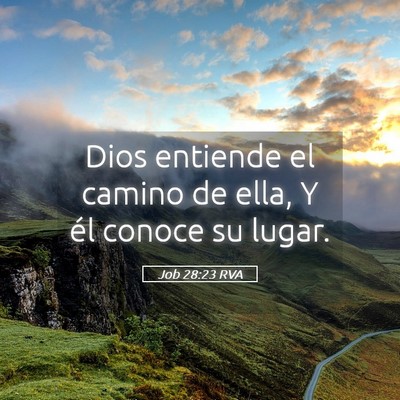 Picture 05 - Job 28:23 RVA - Dios entiende el camino de ella, Y él conoce su - Bible Verse Picture