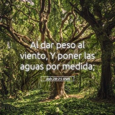 Picture 05 - Job 28:25 RVA - Al dar peso al viento, Y poner las aguas por - Bible Verse Picture