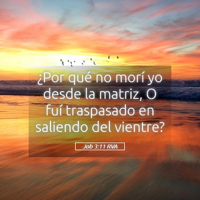 Picture 05 - Job 3:11 RVA - ¿Por qué no morí yo desde la matriz, O fuí - Bible Verse Picture