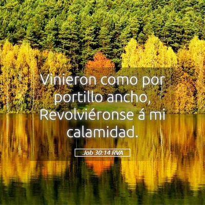 Picture 05 - Job 30:14 RVA - Vinieron como por portillo ancho, Revolviéronse - Bible Verse Picture