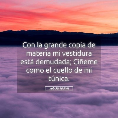 Picture 05 - Job 30:18 RVA - Con la grande copia de materia mi vestidura está - Bible Verse Picture
