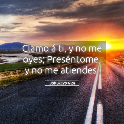 Picture 05 - Job 30:20 RVA - Clamo á ti, y no me oyes; Preséntome, y no me - Bible Verse Picture