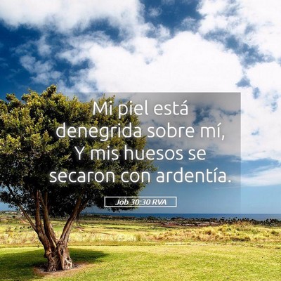 Picture 05 - Job 30:30 RVA - Mi piel está denegrida sobre mí, Y mis huesos - Bible Verse Picture