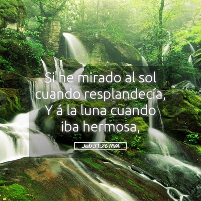 Picture 05 - Job 31:26 RVA - Si he mirado al sol cuando resplandecía, Y á la - Bible Verse Picture