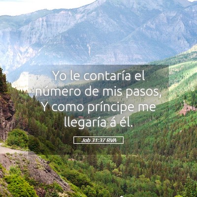 Picture 05 - Job 31:37 RVA - Yo le contaría el número de mis pasos, Y como - Bible Verse Picture