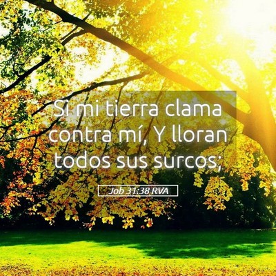 Picture 05 - Job 31:38 RVA - Si mi tierra clama contra mí, Y lloran todos sus - Bible Verse Picture