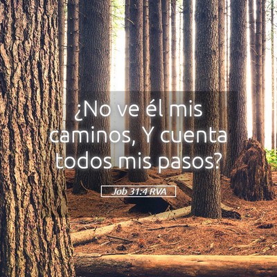 Picture 05 - Job 31:4 RVA - ¿No ve él mis caminos, Y cuenta todos mis - Bible Verse Picture
