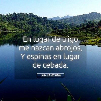 Picture 05 - Job 31:40 RVA - En lugar de trigo me nazcan abrojos, Y espinas en - Bible Verse Picture