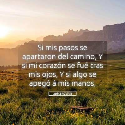 Picture 05 - Job 31:7 RVA - Si mis pasos se apartaron del camino, Y si mi - Bible Verse Picture