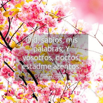 Picture 05 - Job 34:2 RVA - Oid, sabios, mis palabras; Y vosotros, doctos, - Bible Verse Picture