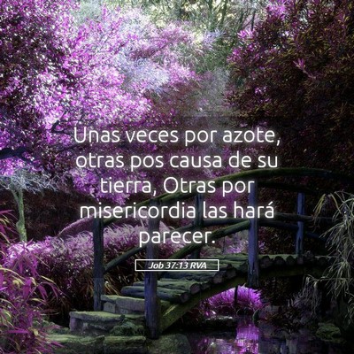 Picture 05 - Job 37:13 RVA - Unas veces por azote, otras pos causa de su - Bible Verse Picture
