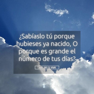 Picture 05 - Job 38:21 RVA - ¿Sabíaslo tú porque hubieses ya nacido, O - Bible Verse Picture