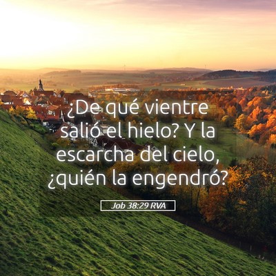 Picture 05 - Job 38:29 RVA - ¿De qué vientre salió el hielo? Y la escarcha - Bible Verse Picture