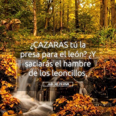 Picture 05 - Job 38:39 RVA - ¿CAZARAS tú la presa para el león? ¿Y - Bible Verse Picture