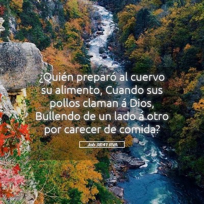 Picture 05 - Job 38:41 RVA - ¿Quién preparó al cuervo su alimento, Cuando - Bible Verse Picture