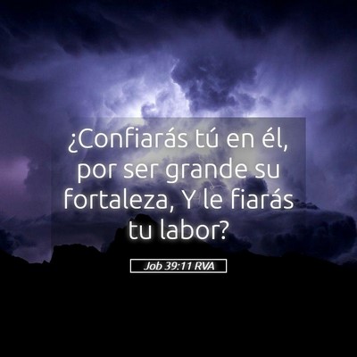 Picture 05 - Job 39:11 RVA - ¿Confiarás tú en él, por ser grande su - Bible Verse Picture