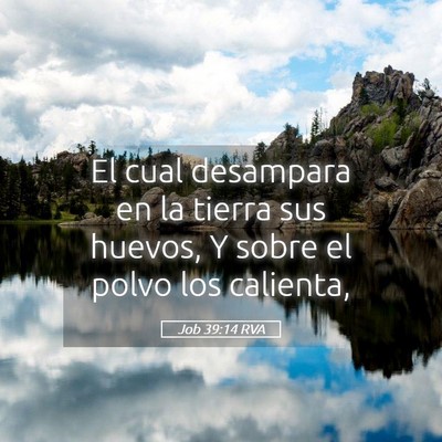 Picture 05 - Job 39:14 RVA - El cual desampara en la tierra sus huevos, Y - Bible Verse Picture
