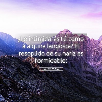 Picture 05 - Job 39:20 RVA - ¿Le intimidarás tú como á alguna langosta? El - Bible Verse Picture