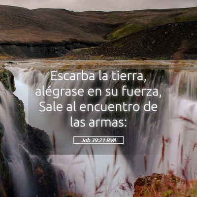 Picture 05 - Job 39:21 RVA - Escarba la tierra, alégrase en su fuerza, Sale - Bible Verse Picture