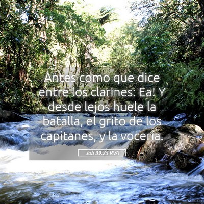 Picture 05 - Job 39:25 RVA - Antes como que dice entre los clarines: ­Ea! Y - Bible Verse Picture