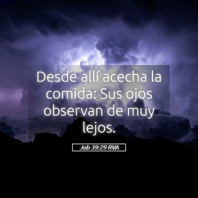 Picture 05 - Job 39:29 RVA - Desde allí acecha la comida: Sus ojos observan - Bible Verse Picture