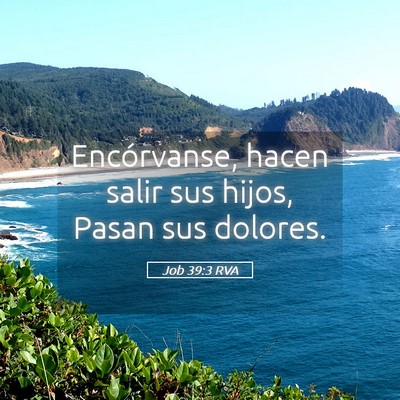 Picture 05 - Job 39:3 RVA - Encórvanse, hacen salir sus hijos, Pasan sus - Bible Verse Picture