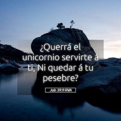 Picture 05 - Job 39:9 RVA - ¿Querrá el unicornio servirte á ti, Ni quedar - Bible Verse Picture