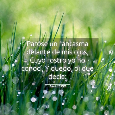 Picture 05 - Job 4:16 RVA - Paróse un fantasma delante de mis ojos, Cuyo - Bible Verse Picture