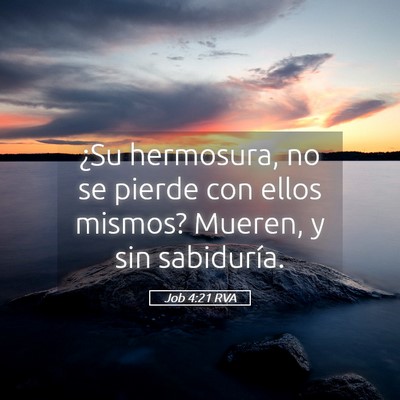 Picture 05 - Job 4:21 RVA - ¿Su hermosura, no se pierde con ellos mismos? - Bible Verse Picture