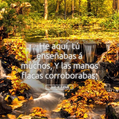Picture 05 - Job 4:3 RVA - He aquí, tú enseñabas á muchos, Y las manos - Bible Verse Picture