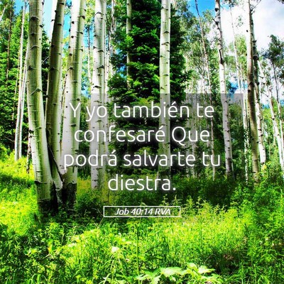 Picture 05 - Job 40:14 RVA - Y yo también te confesaré Que podrá salvarte - Bible Verse Picture