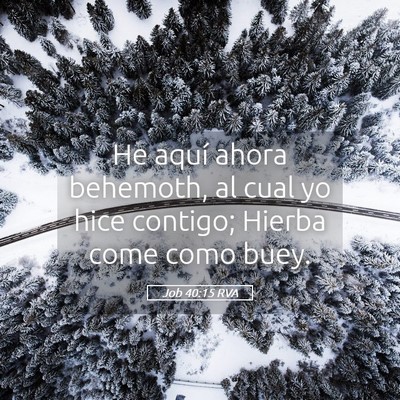 Picture 05 - Job 40:15 RVA - He aquí ahora behemoth, al cual yo hice contigo; - Bible Verse Picture