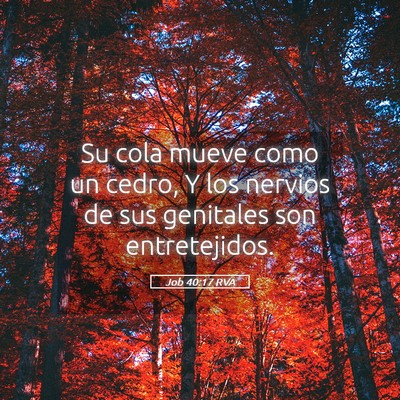 Picture 05 - Job 40:17 RVA - Su cola mueve como un cedro, Y los nervios de sus - Bible Verse Picture