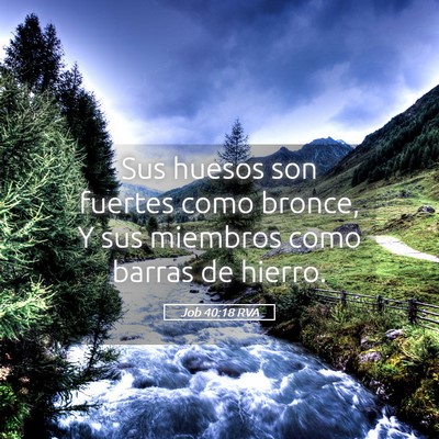Picture 05 - Job 40:18 RVA - Sus huesos son fuertes como bronce, Y sus - Bible Verse Picture
