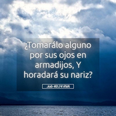 Picture 05 - Job 40:24 RVA - ¿Tomarálo alguno por sus ojos en armadijos, Y - Bible Verse Picture