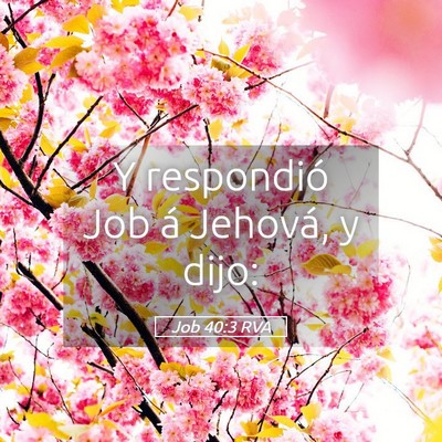 Picture 05 - Job 40:3 RVA - Y respondió Job á Jehová, y - Bible Verse Picture